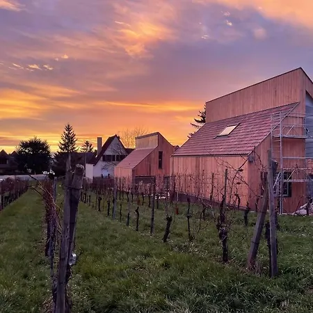 Le Cepage, Au Coeur Des Vignes. Villa Eguisheim Exterior photo