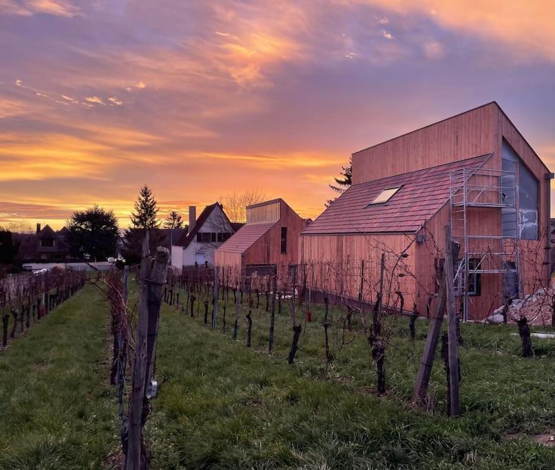 Le Cepage, Au Coeur Des Vignes. * Eguisheim