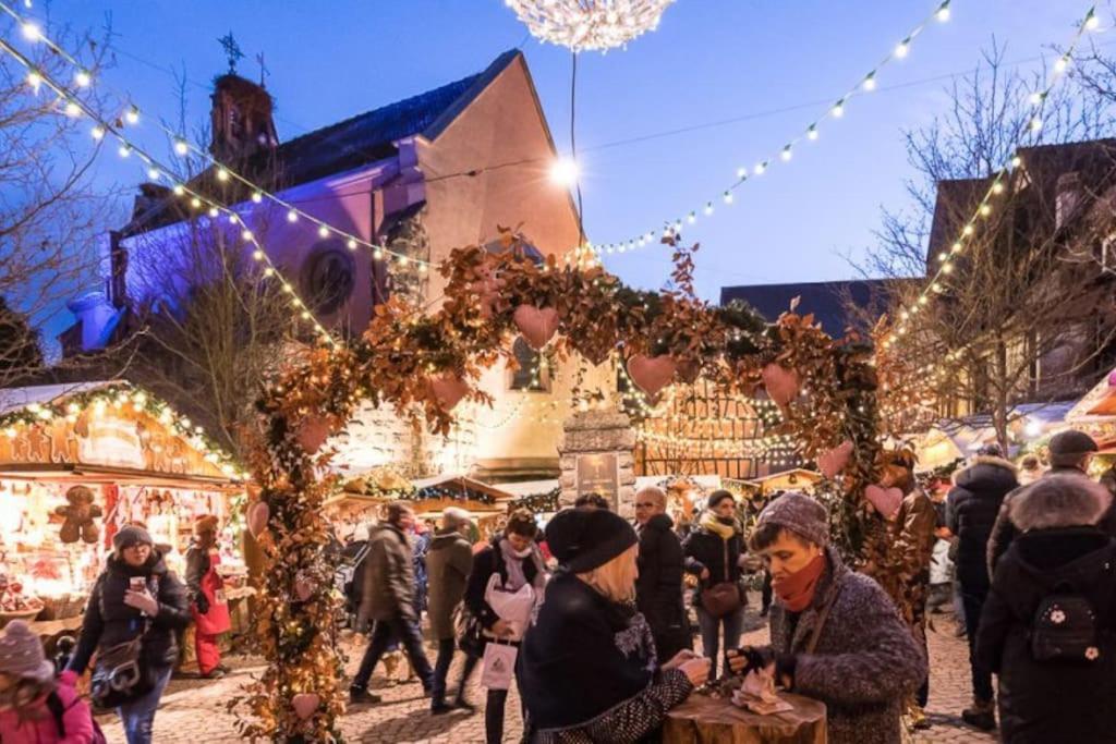 Le Cepage, Au Coeur Des Vignes. Holiday home Eguisheim