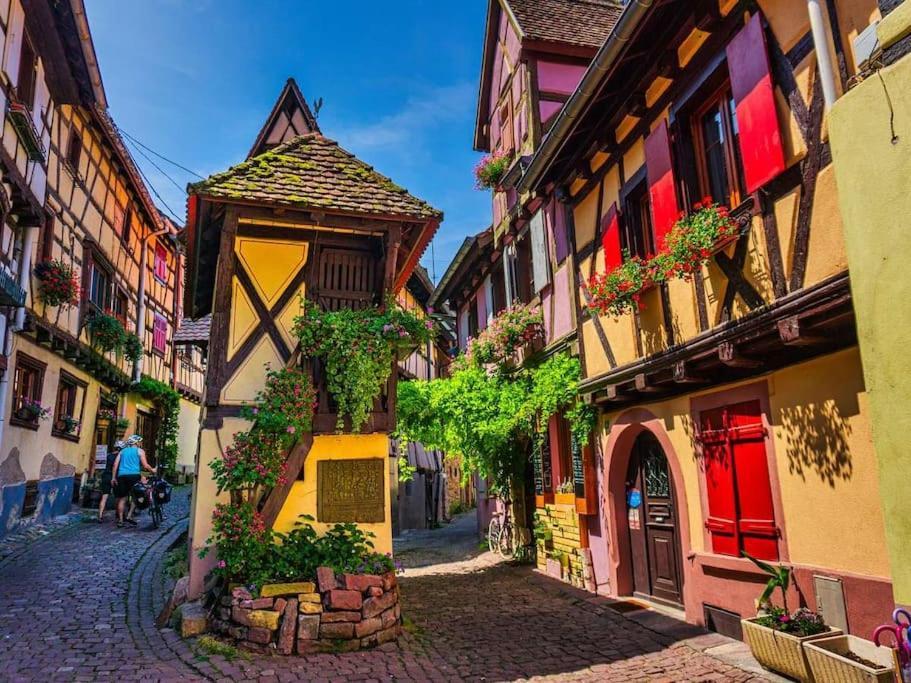 Le Cepage, Au Coeur Des Vignes. Eguisheim